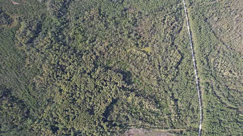 0 Airport Grade Rd, Perry, FL 32348 photo 7