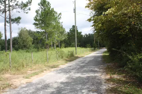5642 Puddles Ln, Bascom, FL 32423 photo 14