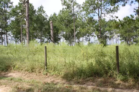 5642 Puddles Ln, Bascom, FL 32423 photo 13
