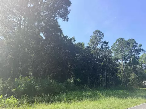 Bottoms Road, Panacea, FL 32346 photo 2