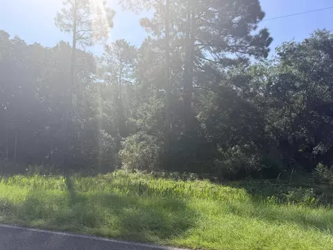Bottoms Road, Panacea, FL 32346