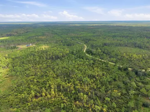 Tract 53 Circle Block Loop, Perry, FL 32348 photo 10