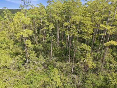 Tract 53 Circle Block Loop, Perry, FL 32348 photo 12