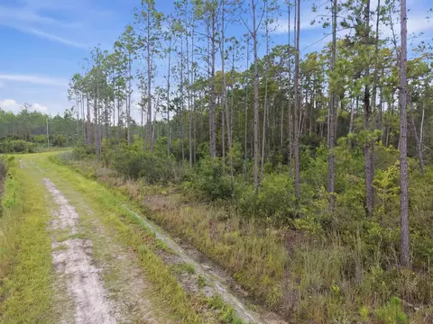 Tract 53 Circle Block Loop, Perry, FL 32348 photo 20
