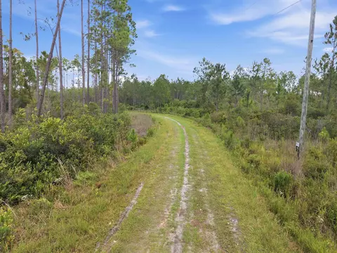 Tract 53 Circle Block Loop, Perry, FL 32348 photo 16