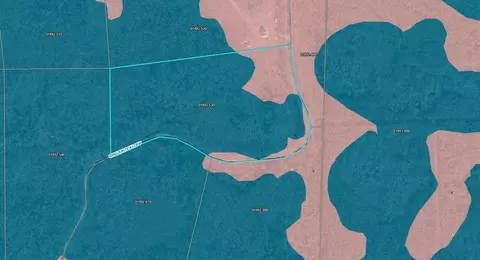 Tract 53 Circle Block Loop, Perry, FL 32348 photo 23