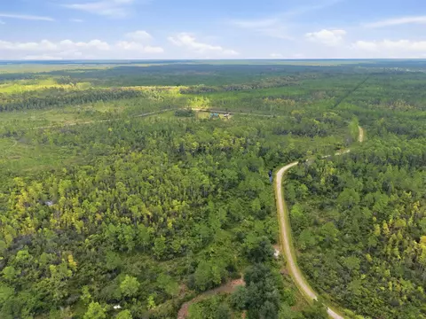 Tract 53 Circle Block Loop, Perry, FL 32348 photo 8