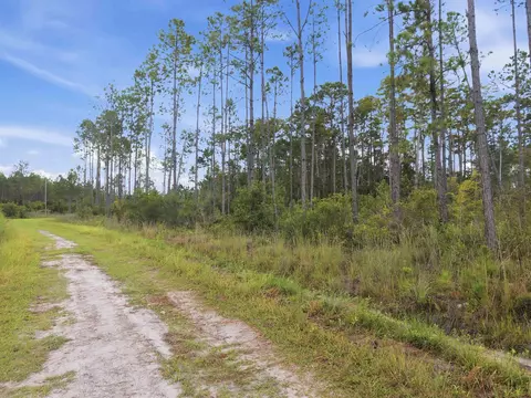 Tract 53 Circle Block Loop, Perry, FL 32348 photo 19