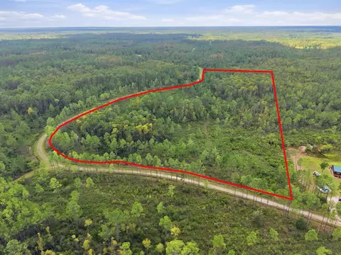 Tract 53 Circle Block Loop, Perry, FL 32348 photo 6