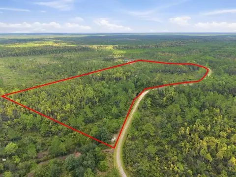 Tract 53 Circle Block Loop, Perry, FL 32348 photo 7