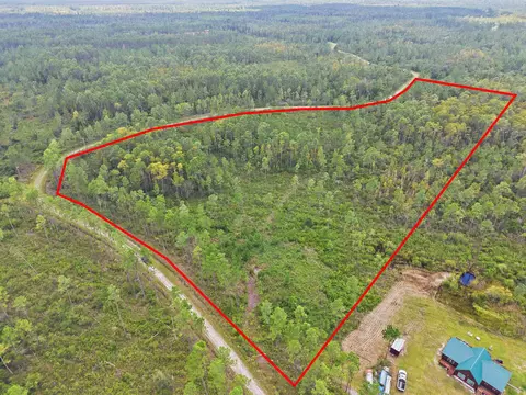 Tract 53 Circle Block Loop, Perry, FL 32348 photo 4