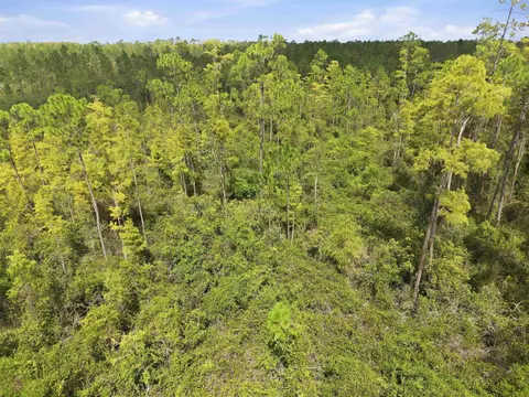 Tract 53 Circle Block Loop, Perry, FL 32348 photo 13