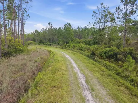 Tract 53 Circle Block Loop, Perry, FL 32348 photo 18