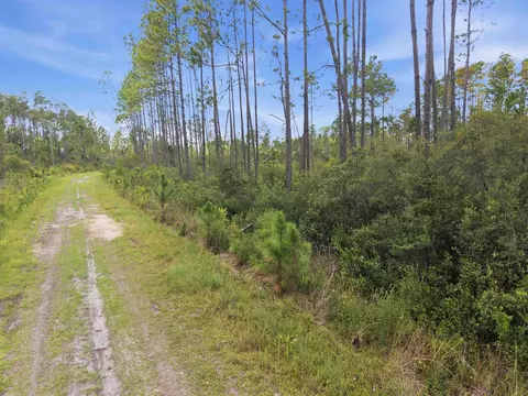 Tract 53 Circle Block Loop, Perry, FL 32348 photo 17