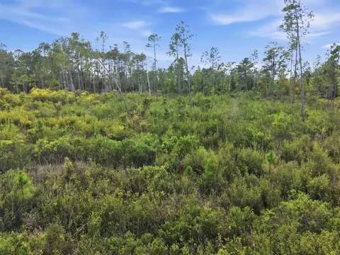 Tract 53 Circle Block Loop, Perry, FL 32348 photo 14