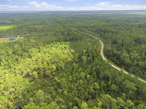 Tract 53 Circle Block Loop, Perry, FL 32348 photo 11