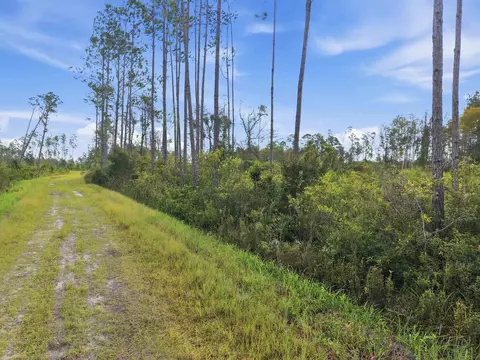 Tract 53 Circle Block Loop, Perry, FL 32348 photo 21
