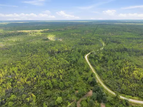 Tract 53 Circle Block Loop, Perry, FL 32348 photo 9