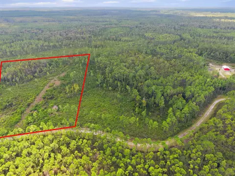 Tract 76 Circle Block Loop, Perry, FL 32348 photo 3