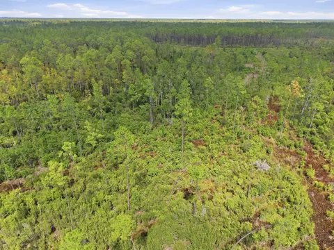 Tract 76 Circle Block Loop, Perry, FL 32348 photo 13
