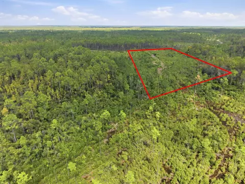 Tract 76 Circle Block Loop, Perry, FL 32348 photo 15