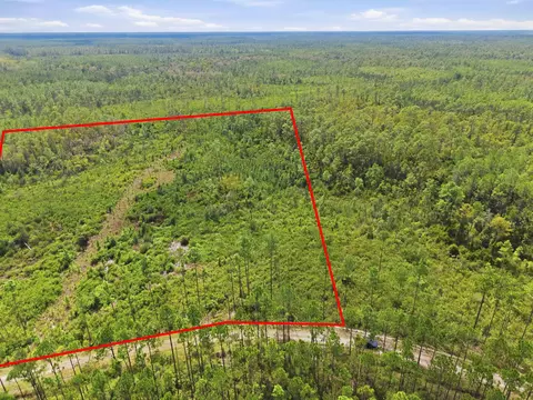 Tract 76 Circle Block Loop, Perry, FL 32348 photo 10