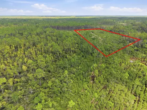 Tract 76 Circle Block Loop, Perry, FL 32348 photo 16