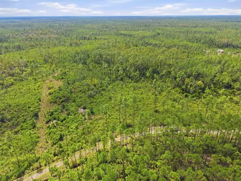 Tract 76 Circle Block Loop, Perry, FL 32348 photo 9