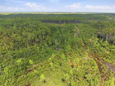 Tract 76 Circle Block Loop, Perry, FL 32348 photo 14