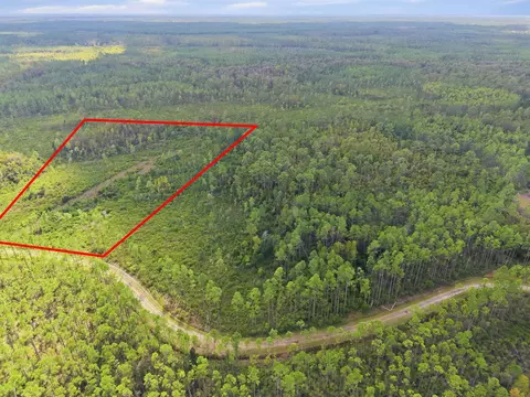 Tract 76 Circle Block Loop, Perry, FL 32348 photo 4