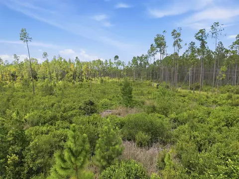 Tract 76 Circle Block Loop, Perry, FL 32348 photo 12