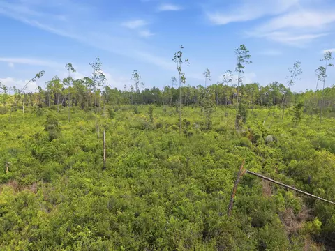 Tract 76 Circle Block Loop, Perry, FL 32348 photo 6