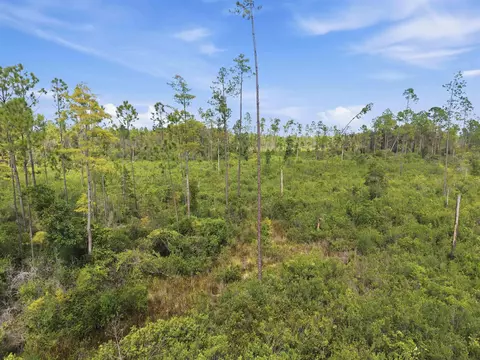 Tract 76 Circle Block Loop, Perry, FL 32348 photo 7