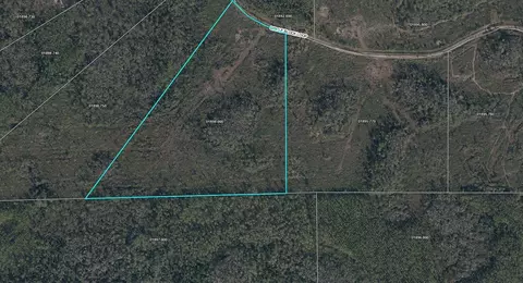 Tract 76 Circle Block Loop, Perry, FL 32348 photo 18