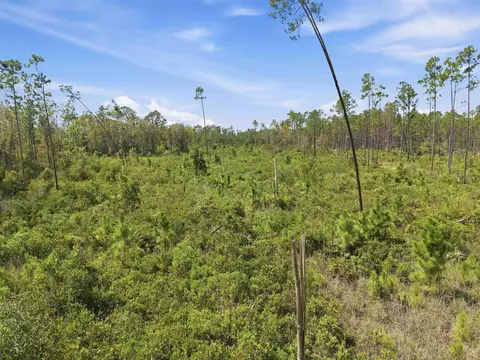 Tract 76 Circle Block Loop, Perry, FL 32348 photo 8