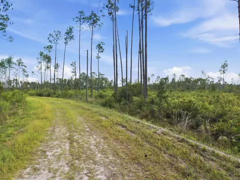 Tract 76 Circle Block Loop, Perry, FL 32348 photo 17