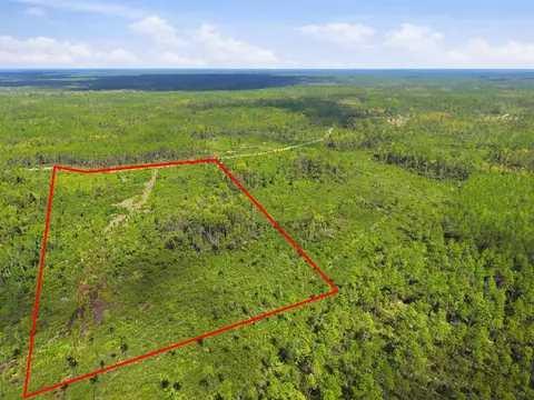 Tract 76 Circle Block Loop, Perry, FL 32348 photo 5