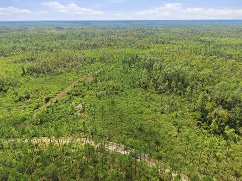 Tract 76 Circle Block Loop, Perry, FL 32348 photo 11