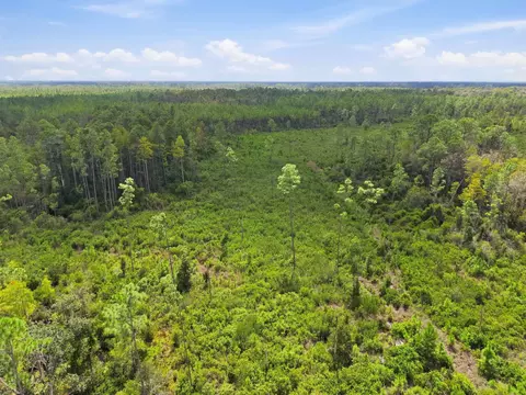 Tract 77 Circle Block Loop, Perry, FL 32348 photo 10