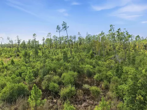 Tract 77 Circle Block Loop, Perry, FL 32348 photo 12