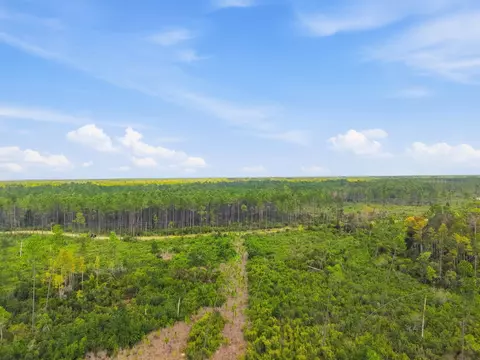 Tract 77 Circle Block Loop, Perry, FL 32348 photo 15