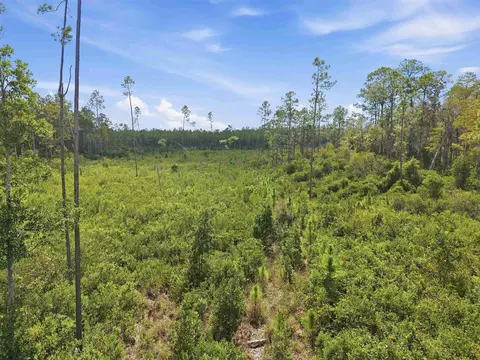 Tract 77 Circle Block Loop, Perry, FL 32348 photo 11