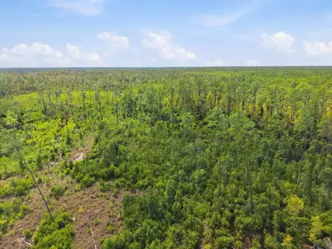 Tract 77 Circle Block Loop, Perry, FL 32348 photo 14