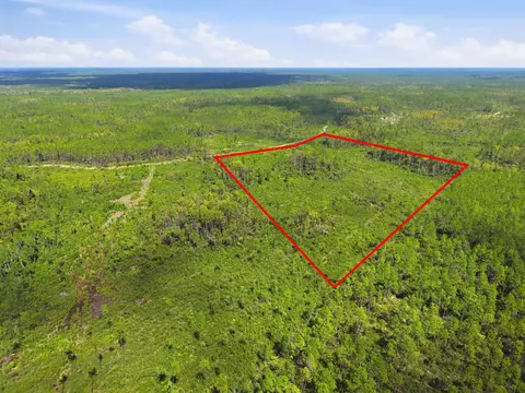 Tract 77 Circle Block Loop, Perry, FL 32348 photo 7