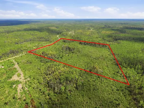 Tract 77 Circle Block Loop, Perry, FL 32348 photo 6