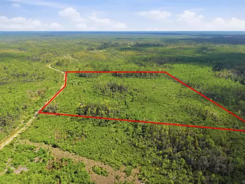 Tract 77 Circle Block Loop, Perry, FL 32348 photo 5