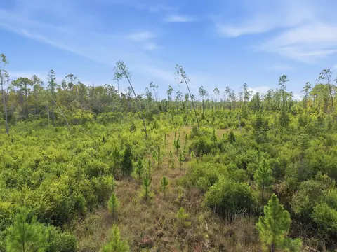 Tract 77 Circle Block Loop, Perry, FL 32348 photo 13