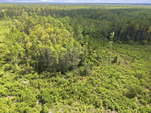 Tract 77 Circle Block Loop, Perry, FL 32348 photo 9