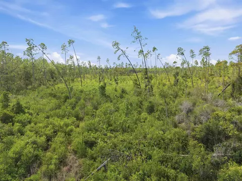 Tract 77 Circle Block Loop, Perry, FL 32348 photo 8