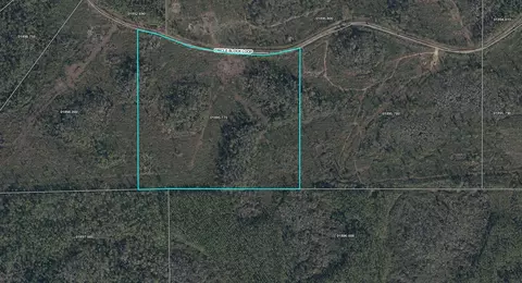 Tract 77 Circle Block Loop, Perry, FL 32348 photo 19